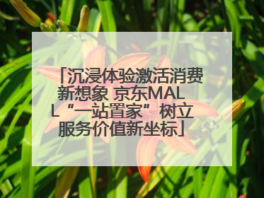沉浸体验激活消费新想象 京东MALL“一站置家”树立服务价值新坐标