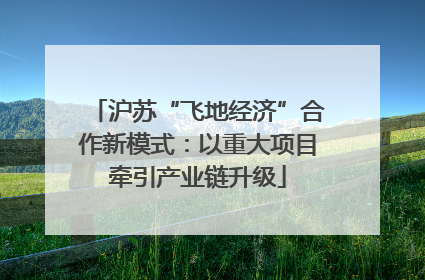 沪苏“飞地经济”合作新模式：以重大项目牵引产业链升级