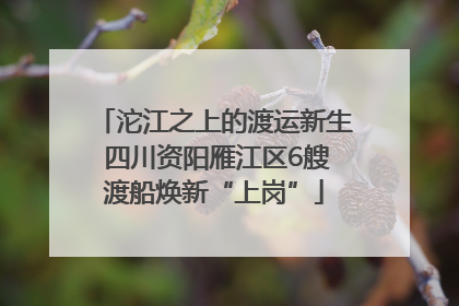 沱江之上的渡运新生 四川资阳雁江区6艘渡船焕新“上岗”