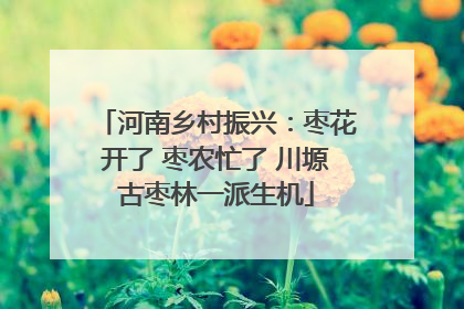 河南乡村振兴：枣花开了 枣农忙了 川塬古枣林一派生机