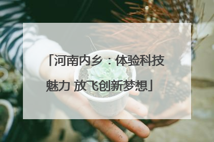 河南内乡：体验科技魅力 放飞创新梦想