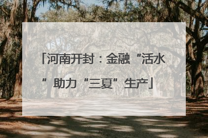 河南开封：金融“活水”助力“三夏”生产