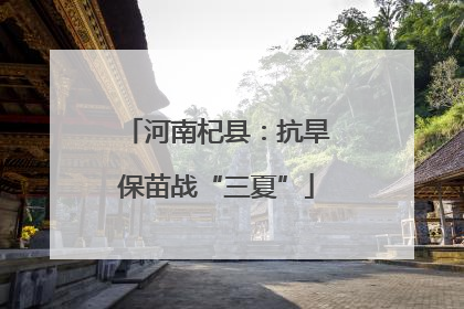 河南杞县：抗旱保苗战“三夏”