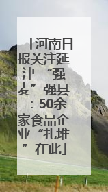 河南日报关注延津 “强麦”强县：50余家食品企业“扎堆”在此