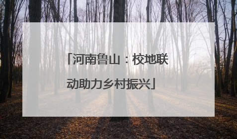 河南鲁山：校地联动助力乡村振兴