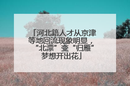 河北籍人才从京津等地回流现象明显，“北漂”变“归雁” 梦想开出花