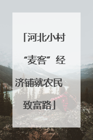 河北小村“麦客”经济铺就农民致富路