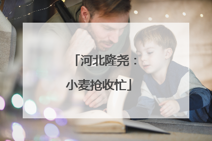 河北隆尧：小麦抢收忙