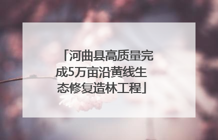河曲县高质量完成5万亩沿黄线生态修复造林工程