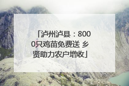 泸州泸县：8000只鸡苗免费送 乡贤助力农户增收