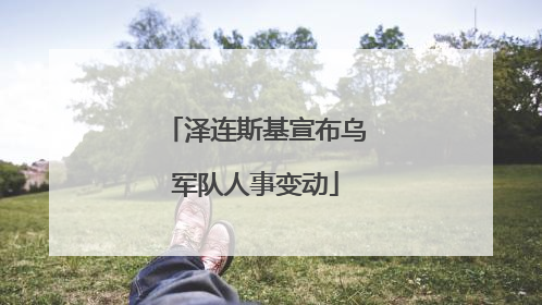泽连斯基宣布乌军队人事变动