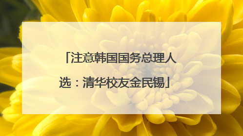 注意韩国国务总理人选：清华校友金民锡