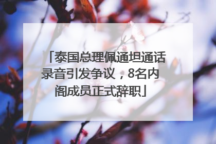 泰国总理佩通坦通话录音引发争议，8名内阁成员正式辞职