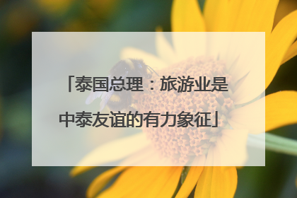 泰国总理：旅游业是中泰友谊的有力象征