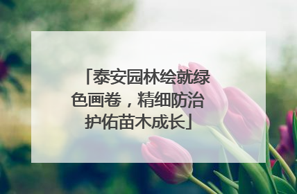 泰安园林绘就绿色画卷，精细防治护佑苗木成长