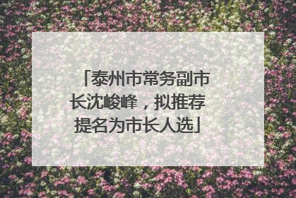 泰州市常务副市长沈峻峰，拟推荐提名为市长人选