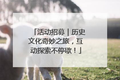 活动招募｜历史文化奇妙之旅，互动探索不停歇！