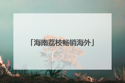 海南荔枝畅销海外