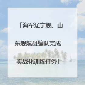 海军辽宁舰、山东舰航母编队完成实战化训练任务