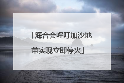 海合会呼吁加沙地带实现立即停火