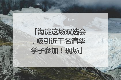 海淀这场双选会，吸引近千名清华学子参加！现场