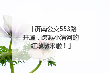 济南公交553路开通，跨越小清河的红墩墩来啦！