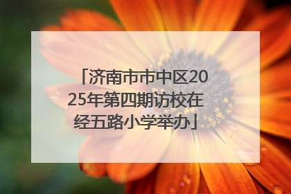 济南市市中区2025年第四期访校在经五路小学举办