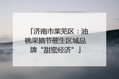 济南市莱芜区：油桃采摘节催生区域品牌“甜蜜经济”