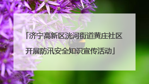 济宁高新区洸河街道黄庄社区开展防汛安全知识宣传活动