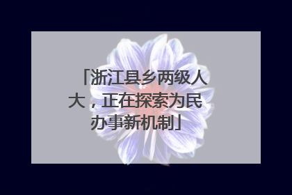 浙江县乡两级人大，正在探索为民办事新机制