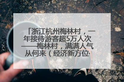 浙江杭州梅林村，一年接待游客超5万人次——梅林村，满满人气从何来（经济新方位·农村消费观察）