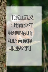 浙江武义：用青少年独特的视角和语言诠释非遗故事