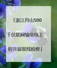 浙江舟山500千伏联网输变电工程开展双线检修