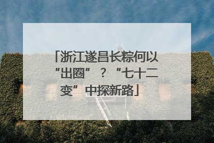 浙江遂昌长粽何以“出圈”？“七十二变”中探新路