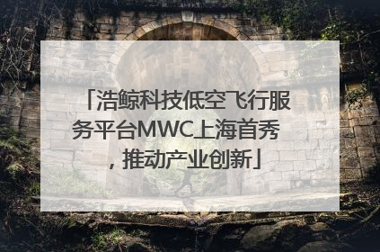 浩鲸科技低空飞行服务平台MWC上海首秀，推动产业创新