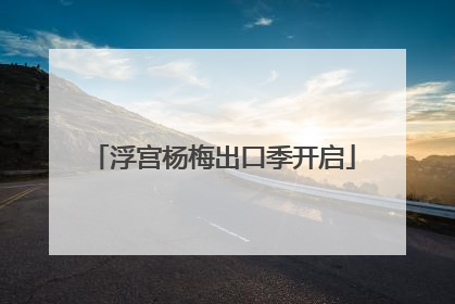浮宫杨梅出口季开启
