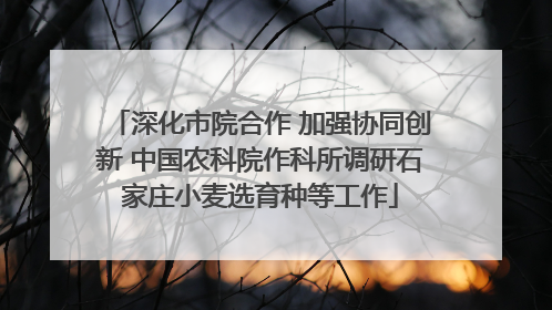 深化市院合作 加强协同创新 中国农科院作科所调研石家庄小麦选育种等工作