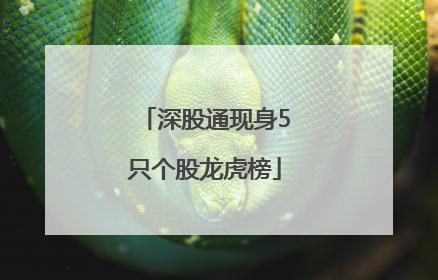 深股通现身5只个股龙虎榜