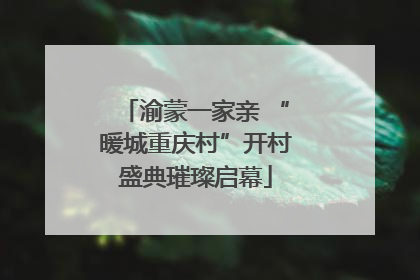 渝蒙一家亲 “暖城重庆村”开村盛典璀璨启幕
