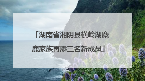 湖南省湘阴县横岭湖麋鹿家族再添三名新成员