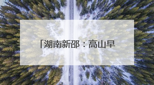湖南新邵：高山早熟黄桃抢鲜上市 开启夏日甜蜜之旅