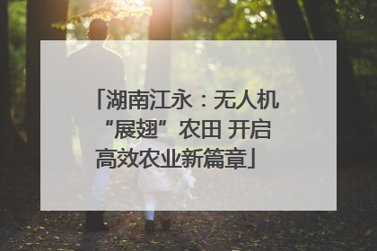 湖南江永：无人机“展翅”农田 开启高效农业新篇章