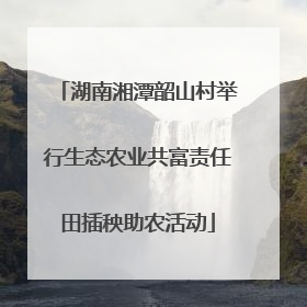 湖南湘潭韶山村举行生态农业共富责任田插秧助农活动