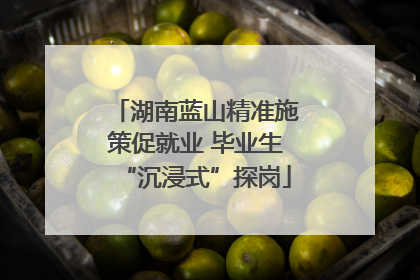 湖南蓝山精准施策促就业 毕业生“沉浸式”探岗