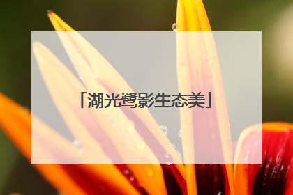湖光鹭影生态美