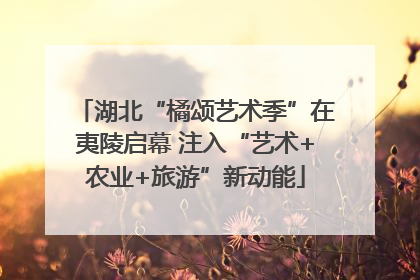 湖北“橘颂艺术季”在夷陵启幕 注入“艺术+农业+旅游”新动能