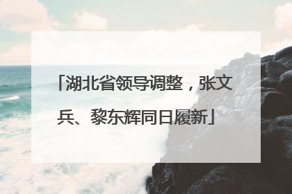 湖北省领导调整，张文兵、黎东辉同日履新