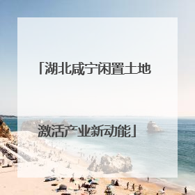 湖北咸宁闲置土地激活产业新动能