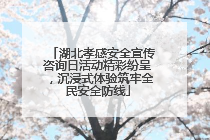 湖北孝感安全宣传咨询日活动精彩纷呈，沉浸式体验筑牢全民安全防线