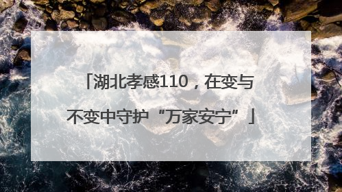 湖北孝感110，在变与不变中守护“万家安宁”